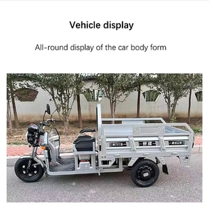 Tricycle électrique motorisé à frein à tambour fermé, <span class=keywords><strong>prix</strong></span> <span class=keywords><strong>d</strong></span>'usine, super puissant, pour adultes, haute vitesse, robuste, capacité de charge de 400 kg, vélo <span class=keywords><strong>cargo</strong></span> - Product Image 6