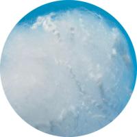 Fibre de PLA biodégradable 5D 51 mm pour le filage