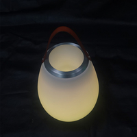 Enceinte Portable Sans Fil avec Éclairage LED RGB 16 Couleurs Changeantes, Idéale pour Hôtels et Extérieur, Design Rotomoulé, Son de Réverbération pour Fêtes