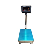 Balance de plate-forme électronique en acier inoxydable 150 kg 30*40 cm, balance de plate-forme numérique LED verte