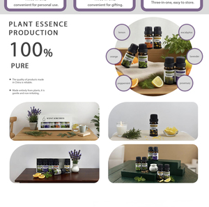 Ensemble d'huiles essentielles <span class=keywords><strong>de</strong></span> matières premières <span class=keywords><strong>de</strong></span> graines d'automne 6*10ML Huile parfumée à la vanille pour diffuseurs et fabrication <span class=keywords><strong>de</strong></span> bougies - Product Image 6