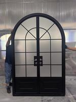 Portes en aluminium conçues par TOMA Portes en aluminium forgé en aluminium/fer Fenêtres de porte en verre français Taille et type personnalisés