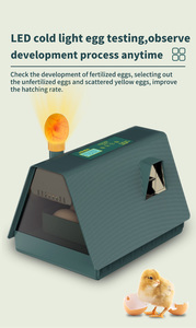 WONEGG Meilleure vente Petite couveuse automatique pour 10 œufs <span class=keywords><strong>de</strong></span> poule, caille, canard, dinde - Product Image 5