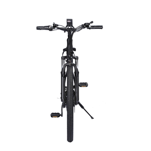 Quad eléctrico de 48V y 350W para adultos, dos ruedas <span class=keywords><strong>a</strong></span> la venta con CE FCC Rohs, almacén de la UE y EE. UU. - Product Image 6