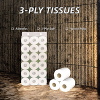 Papier toilette Nanbo jetable doux et absorbant, sans peluches, écologique, 1 à 3 plis, en rouleau, style personnalisé, offre en gros à prix réduit pour salle de bain