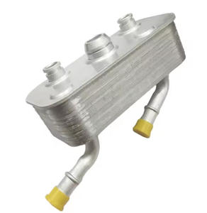 Refroidisseur d'huile de transmission pour E46 316i 318i 320i 323i 325i 328i 330i X3 E83 Z4 E85 N46 M54 17221436258 17227505826 - Product Image 1