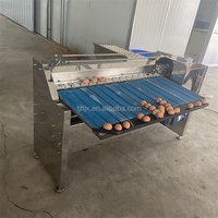 Machine de tri et de calibrage d'œufs de grande capacité à 6 tailles avec roulement en acier inoxydable de qualité alimentaire pour usage en boulangerie