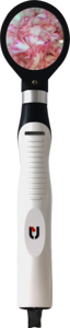 Electric Reusable Veterinary Otoscope Rhinoscope ENT Examination Scope Digital Video for <strong>Cat</strong> Dental Instruments CN - Product Image 5