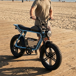 Bicicleta Eléctrica Retro Scrambler con Batería de 48V 16Ah, Bicicleta Eléctrica de Alta Velocidad con Llantas Anchas para Paseos por la Costa - Product Image 3