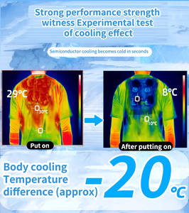 Gilet Rinfrescante Estivo a Semiconduttore con Ventilatore e Protezione Solare per Forniture - Product Image 4