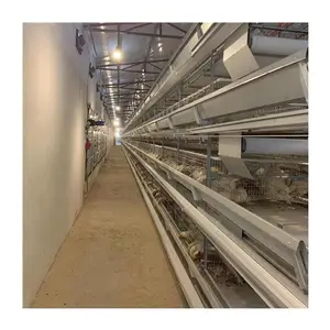 Commercial Egg Chicken Poultry Farming House Design Automatic Layer Battery Cage Multifunctional Provided Chicken Equipment