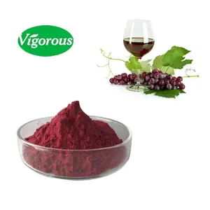 Approvisionnement d'usine extrait de raisin fermenté Vitis vinifera L. Extrait de vin rouge 100% naturel pur