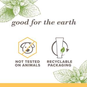 Dentifrice Bio Anti-Carie Blanchissant Haleine Fraîche Tue les Germes - Protection Contre le Tartre et l'Émail - Saveur Menthe Fraîche - Product Image 4