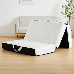 Divano Letto Multifunzionale Pieghevole in Tessuto Facile da Pulire con Compressione Sottovuoto per Appartamento - Product Image 2