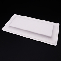 Assiettes jetables biodégradables 10*5 pouces en pulpe de bagasse de canne à sucre pour repas en extérieur et peinture
