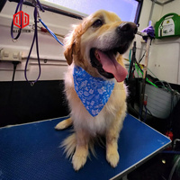 Vente chaude de camion de toilettage pour chiens mobile professionnel, remorque de toilettage pour animaux de compagnie mobile à vendre