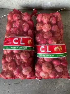 Cebolla grande India fresca para exportación Vietnam Malasia Singapur cebollas rojas frescas