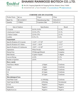 Rainwood OEM <span class=keywords><strong>bcaa</strong></span> ผง <span class=keywords><strong>bcaa</strong></span> อาหารเสริม <span class=keywords><strong>bcaa</strong></span> อะมิโน - Product Image 2