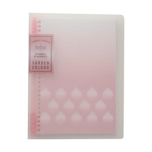 Carnet de notes spirale personnalisé à couverture rigide en PP dépoli transparent A4 A5 A6 pour étudiants, organisateur et planificateur – Vente en gros à prix réduit - Product Image 5