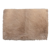 Personnalisé Solide Couleur Polyester Doux Sentiment Carrés Plancher Bas Pile En Peluche Moelleux Tapis Pour Salon