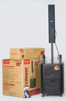 Columna de Sonido Inalámbrica OEM al por Mayor TTD-1510 para Exteriores, Altavoz Line Array de 15 Pulgadas con Batería Recargable de 80+20W de Alta Potencia