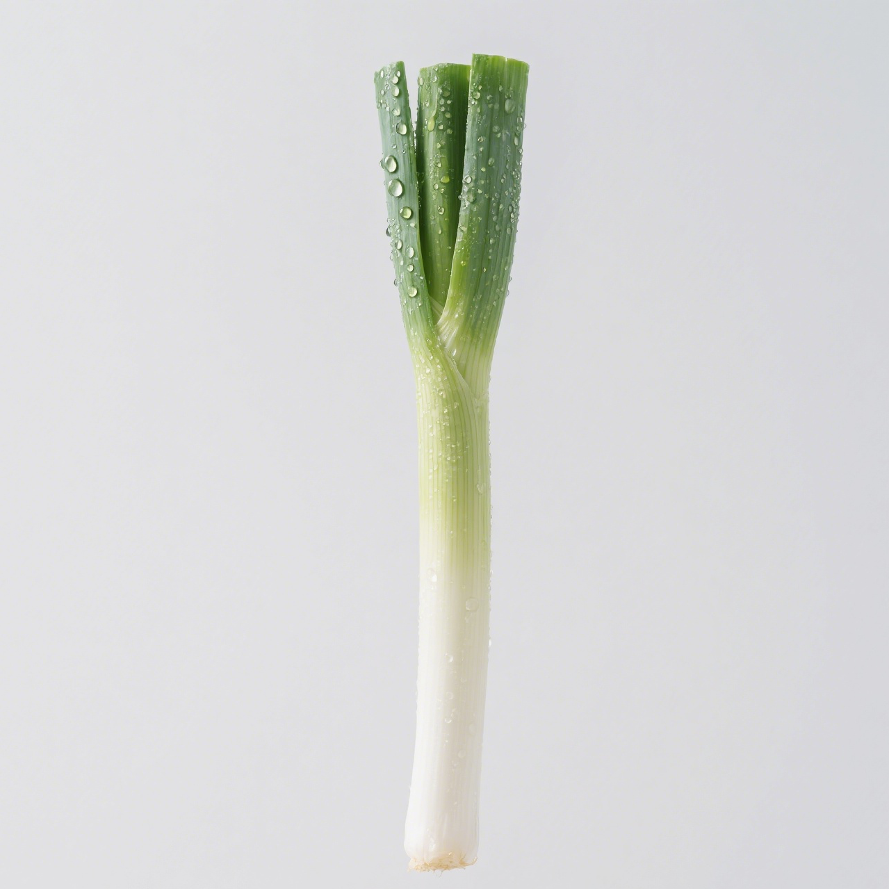 Fresh Pickedscallion Wholesale Price Haccp ISO Certified Customizable Scallion Organic IQF Frozen Scallion Diced