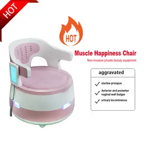 2024 Pelvic Floor Muscle Trainer Chair Urinary Incontinence Ems Chair Stimulator Pelvic Exerciser Strengthen Floor