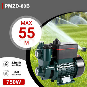 Pompe à eau potable intégrée automatique auto-amorçante 1HP 750W pour camping-car et camping, hauteur de levage 55m, hauteur d'<span class=keywords><strong>aspiration</strong></span> 8m - Product Image 6