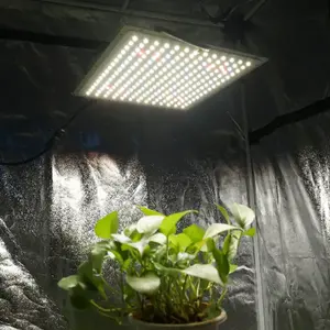 Samsung Full Spectrum Led Board Plant Growth Lamp For Medicinal Plant