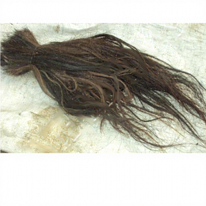 Pelo de Caballo Natural B.S INTERNATIONAL de Primera Calidad, Líquido No Soluble en Agua, 3 Años de Duración, Equipo de Maquillaje y Pintura - Product Image 3