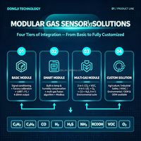 Module de capteur de gaz multi-gaz DJ-Custom Design CH4 CO H2S O2, calibré en usine pour la sécurité industrielle, module de capteur de gaz 4 en 1, OEM ODM