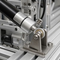 Actionneur linéaire robuste 12/24 V CC, actionneur linéaire électrique avec moteur, fixation par rotule, IP66, couple élevé, capteur Hall