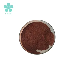 Youshuo Plant Extract 100% Natural Korean Red Panax Ginseng Extract Powder Red Ginseng Extract Powder