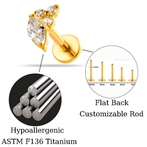 Maina Listo para Enviar Lotes de Pendientes Labret de Titanio F136 con Zirconia, Rosca Interna, para Cartílago y <span class=keywords><strong>Labio</strong></span>, Joyería al por Mayor - Product Image 2