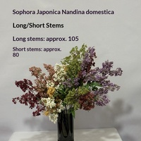 Fleur artificielle de Nandina Acacia, fruit en soie et plastique, faite à la main, style rétro, pour arrangement floral de mariage, décoration de salon et de table à manger