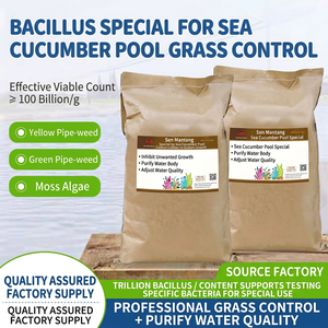 100 Mil Millones de Unidades de Polvo de Control de Esporas para Cultivo de Pepino de Mar, Gran Cantidad Disponible, Descuentos por Compra al por Mayor - Product Image 1