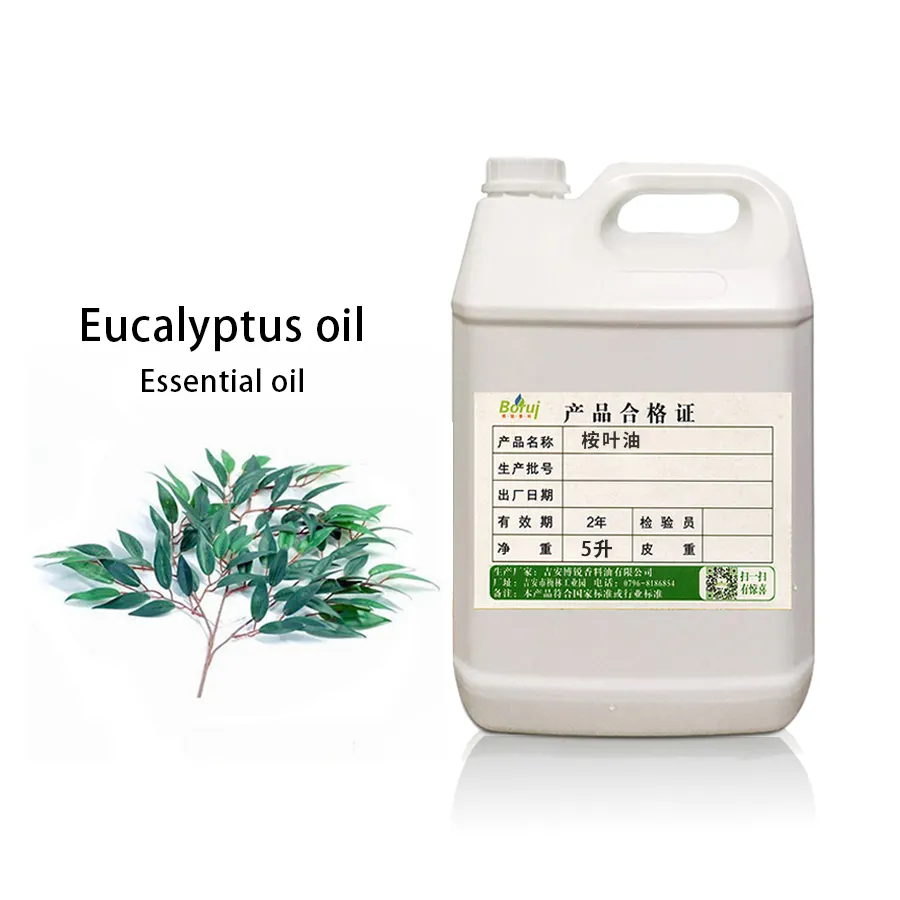 Aceite esencial de eucalipto natural a la venta a granel para esterilización aceite esencial puro al mejor precio