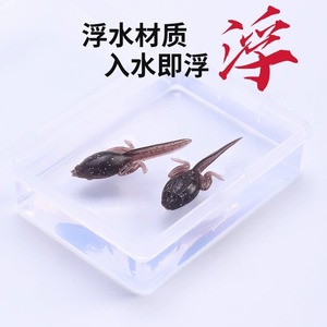 JQKJEKJANMMN Leurre souple biomimétique en forme de têtard, 10 grands et 10 petits, pour la pêche au bar en eau douce, leurres de fond - Product Image 5