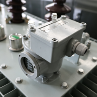 Transformateur immergé dans l'huile triphasé 11kV 33kV vers 0.415kV, type distribution, pour projet industriel