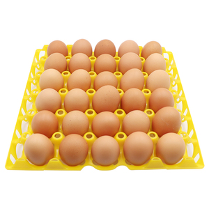 <span class=keywords><strong>Precio</strong></span> barato de fábrica Bandeja de <span class=keywords><strong>huevos</strong></span> de plástico Bandeja de <span class=keywords><strong>huevos</strong></span> de pollo reutilizable Colores Bandeja de <span class=keywords><strong>huevos</strong></span> de plástico de 30 celdas para la venta - Product Image 6