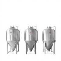 Cuve de Fermentation de Bière 200L en Acier Inoxydable 10BBl, Contrôlée par PLC, Motorisée, avec Isolation