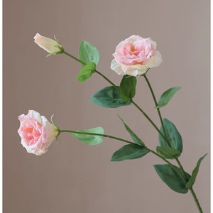 Platycodon a granel de flores artificiales de seda para decoración de Bodas de sala de estar de Hotel <span class=keywords><strong>Eustoma</strong></span> <span class=keywords><strong>Grandiflorum</strong></span> - Product Image 3