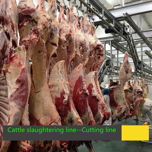 Ligne de production d'abattoirs de vaches <span class=keywords><strong>halal</strong></span> abattoir haute efficacité pour équipement de <span class=keywords><strong>boucherie</strong></span> - Product Image 6