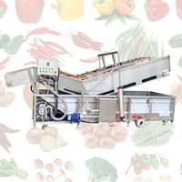 Automatische industriële groente- en fruitbellenwasmachine met motor, hoge precisie, 304 roestvrij staal, voor sojabonen, maïs en wortels
