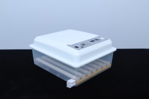 Nueva Incubadora de Huevos <span class=keywords><strong>Mini</strong></span> para 48/<span class=keywords><strong>56</strong></span>/64 Huevos de Gallina, Material Plástico PP, para Incubación de Patos, Codornices y Pavos, Precio en Nepal - Product Image 3