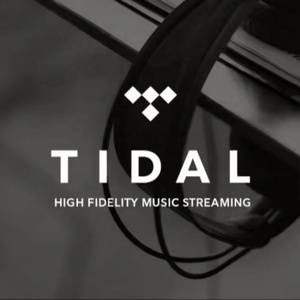 บัญชีเพลง Tidal Premium 12 เดือน คุณภาพเสียง HiFi Plus Lossless - Product Image 3