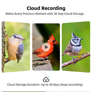 Mangeoire à oiseaux intelligente moderne en bois massif 5MP, vision nocturne extérieure, étanche, faible consommation d'énergie, sécurité sans fil, bol pour animaux de compagnie - Product Image 6