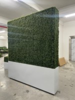 Support de toile de fond mural en fer massif et détachable, couleur champagne, pour décoration de mariages, fêtes et événements, vente en gros