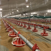 Système d'alimentation automatique de poulet à gamme libre ferme de volaille mangeoire automatique maisons équipement d'élevage poêle d'alimentation en plastique