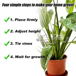 6 pièces <span class=keywords><strong>support</strong></span> de tige de <span class=keywords><strong>support</strong></span> de tige de <span class=keywords><strong>plante</strong></span> avec trous acrylique <span class=keywords><strong>plante</strong></span> treillis piquets stabilisateur de <span class=keywords><strong>plante</strong></span> <span class=keywords><strong>support</strong></span> de feuille et <span class=keywords><strong>support</strong></span> d'escalade - Product Image 4